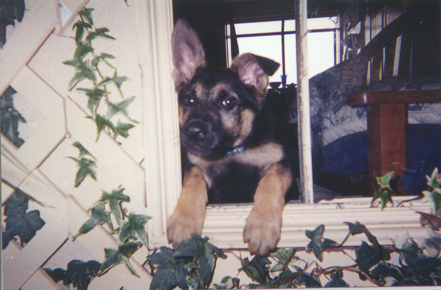 tessa-1.jpg